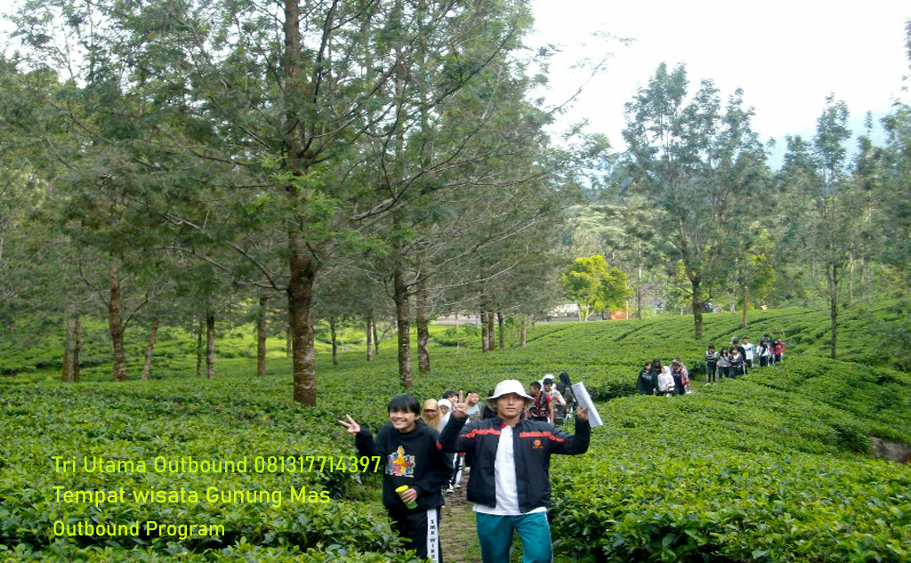paket gathering di puncak, gunung mas