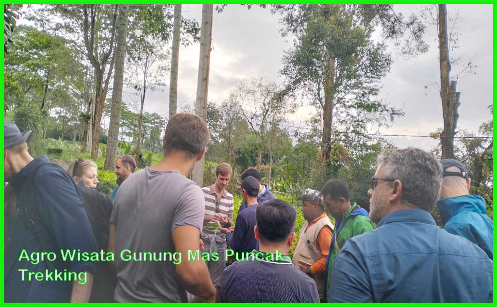 49 tempat gathering bogor