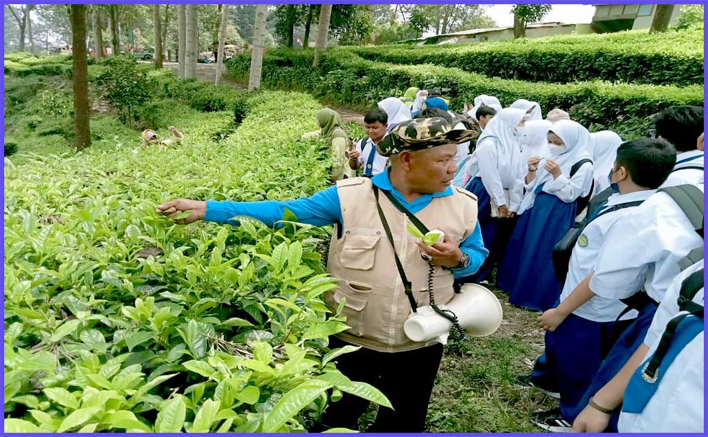 Tempat Gathering di Puncak
